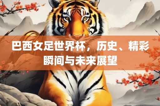 巴西女足世界杯，历史、精彩瞬间与未来展望