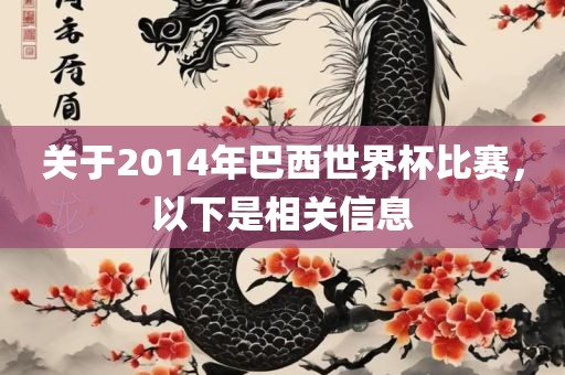关于2014年巴西世界杯比赛，以下是相关信息