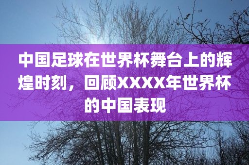 中国足球在世界杯舞台上的辉煌时刻，回顾XXXX年世洪湖市顺升工程机械租赁有限公司界杯的中国表现