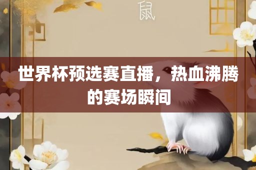 世界杯预选赛直播，热血沸腾的赛场瞬间