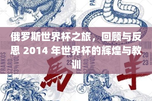 俄罗斯世界杯之旅，回顾与反思 2014 年世界杯的辉煌与教训洪湖市顺升工程机械租赁有限公司