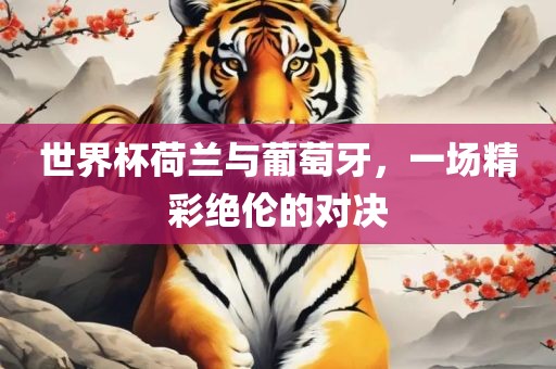 世界杯荷兰与葡萄牙，一场精彩绝伦的对决