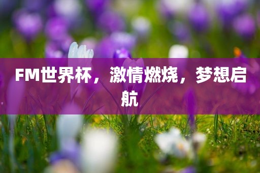 FM世界杯，激情燃烧，梦想启航