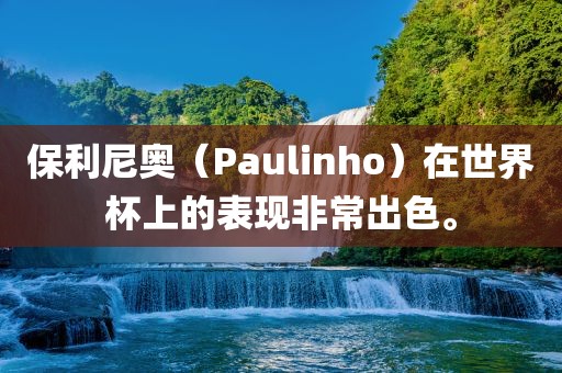 保利尼奥（Paulinho）在世界杯上的表现非常出色。洪湖市顺升工程机械租赁有限公司