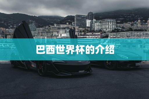 巴西世界杯的介绍