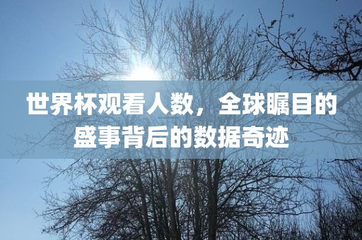 世界杯观看人数，全球瞩目的盛事背后的数据奇迹