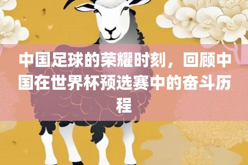 中国足球的荣耀时刻，回顾中国在世界杯预选赛中的奋斗历程
