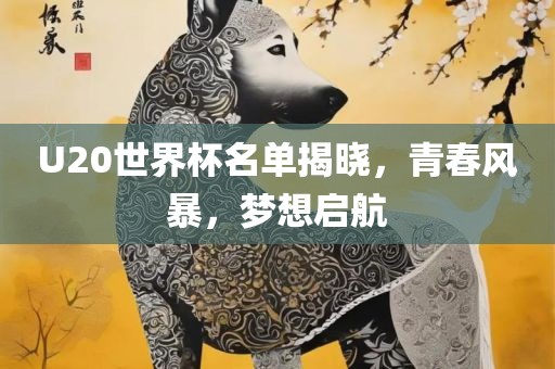 U20世界杯名单揭晓，青春风暴，梦想启航