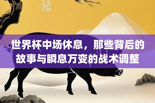 世界杯中场休息，那些背后的故事与瞬息万变的战术调整洪湖市顺升工程机械租赁有限公司