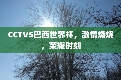 CCTV洪湖市顺升工程机械租赁有限公司5巴西世界杯，激情燃烧，荣耀时刻