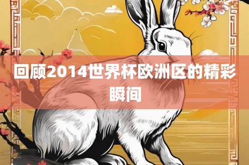 回顾2014世界杯欧洲区的精彩瞬间