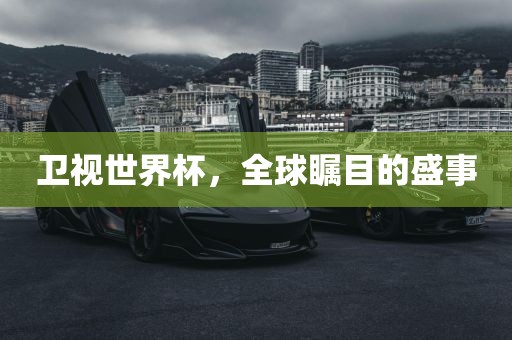 卫视世界杯，全球瞩目的盛事洪湖市顺升工程机械租赁有限公司