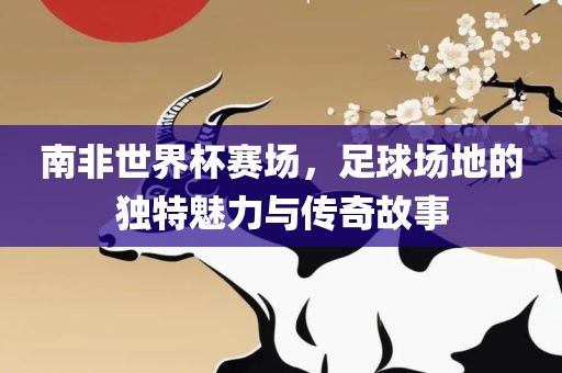 南非世界杯赛场，足球场地的独特魅力洪湖市顺升工程机械租赁有限公司与传奇故事