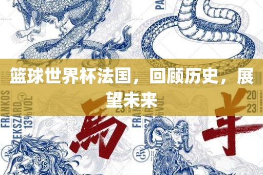 篮球世界杯法国，回顾历史，展望未来