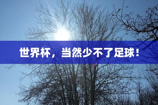 世界杯，当然少不了足球！