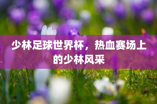 少林足球世界杯，热血赛场上的少林风采洪湖市顺升工程机械租赁有限公司