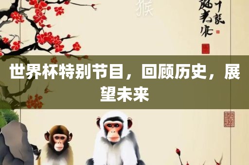 世界杯特别节目，回顾历史，展望未来