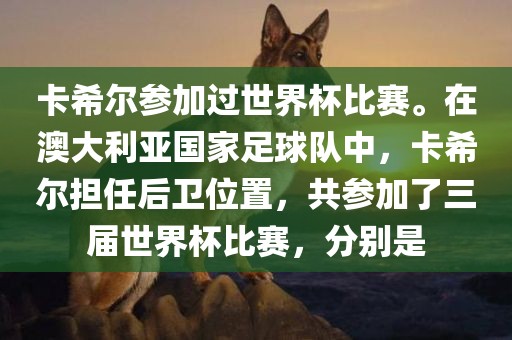 卡希尔参加过世界杯比赛。在澳大利亚国家足球队中，卡希尔担任后卫位置，共参加了三届世界杯比赛，分别是