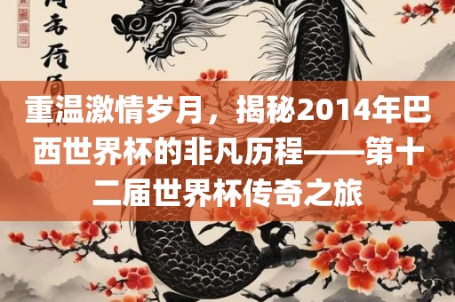 重温激情岁月，揭秘2014年巴西世界杯的非凡历程——第十二届世界杯传奇之旅