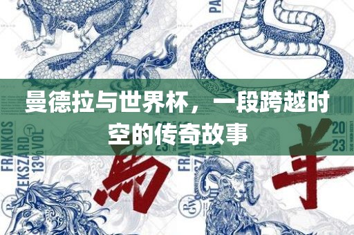 曼德拉与世界杯，一段跨越时空的传奇故事