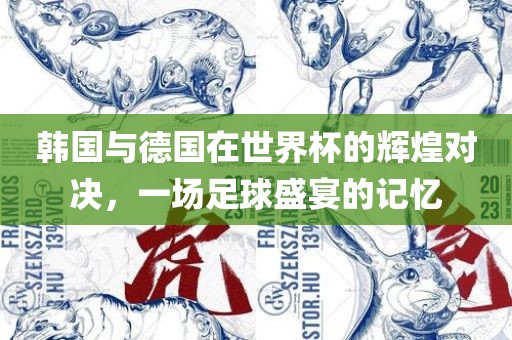 韩国与德国在世界杯的辉煌对决，一场足球盛宴的记忆