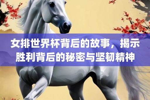 女排世界杯背后的故事，揭示胜利背后洪湖市顺升工程机械租赁有限公司的秘密与坚韧精神