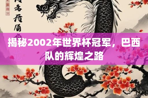 揭秘2002年世界杯冠军，巴西队的辉煌之路
