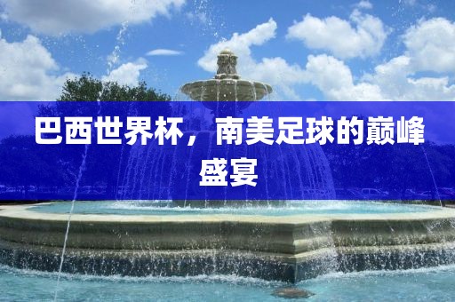 洪湖市顺升工程机械租赁有限公司巴西世界杯，南美足球的巅峰盛宴