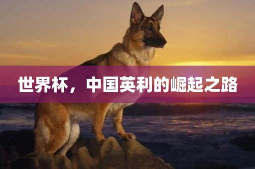 百度热搜 第32页