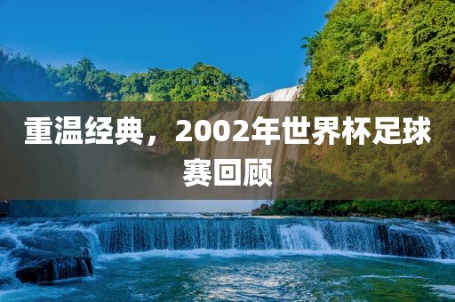 重温经典，2002年世界杯足球赛回顾