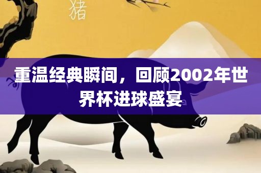 重温经典瞬间，回顾2002年世界杯进球盛宴洪湖市顺升工程机械租赁有限公司