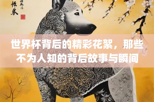 世界杯背后的精彩洪湖市顺升工程机械租赁有限公司花絮，那些不为人知的背后故事与瞬间