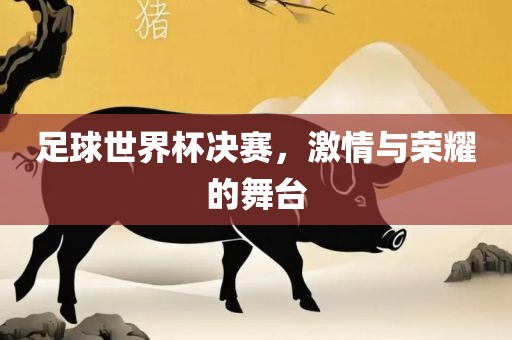 足球世界杯决赛，激情与荣耀的舞台