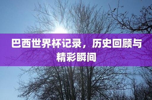 巴西世界杯记录，历史回顾与精彩瞬间洪湖市顺升工程机械租赁有限公司