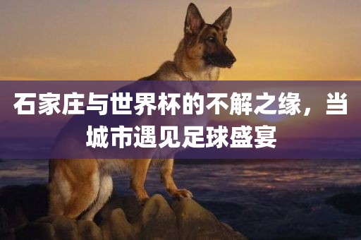 石家庄与世界杯的不解之缘，当城市遇见足球盛宴洪湖市顺升工程机械租赁有限公司