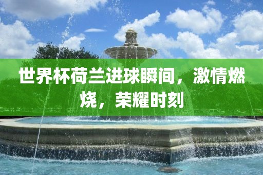 世界杯荷兰进球瞬间，激情燃烧，荣耀时刻