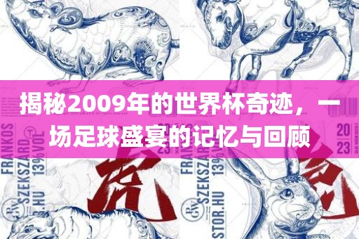 揭秘2009年的世界杯奇迹，一场足球盛宴的记忆与回顾