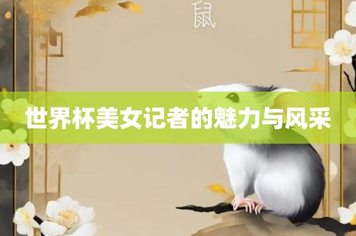 世界杯美女记者的魅力与风采