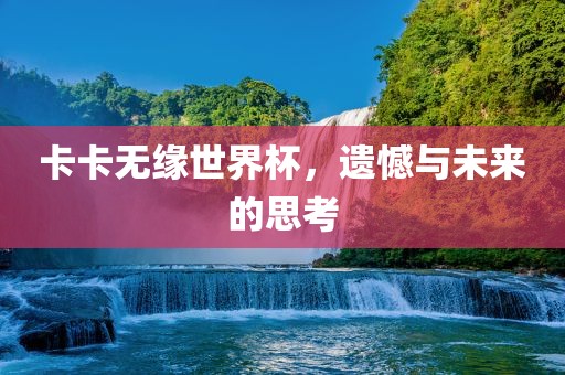 卡卡无缘世界杯洪湖市顺升工程机械租赁有限公司，遗憾与未来的思考
