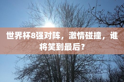 世界杯8强对阵，激情碰撞，谁将笑到最后？洪湖市顺升工程机械租赁有限公司