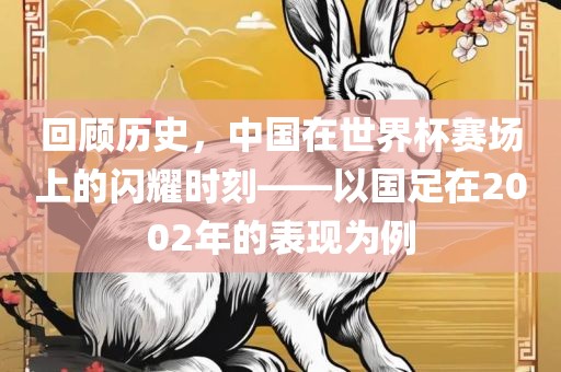回顾历史，中国在世界杯赛场上的闪耀时刻——以国足在2002年的表现为例