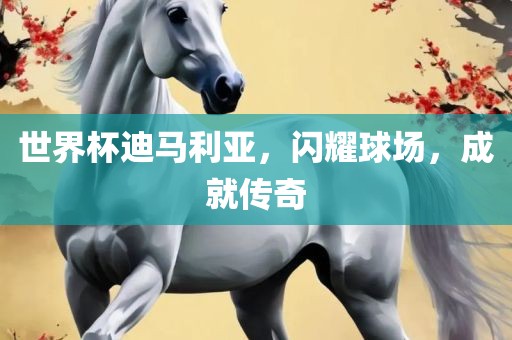 世界杯迪马利亚，闪耀球场，成就传奇