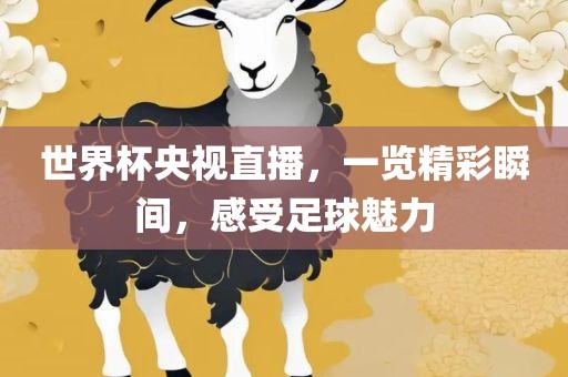 世界杯央视直播，一览精彩瞬间，感受足球魅力洪湖市顺升工程机械租赁有限公司