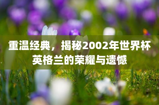 重温经洪湖市顺升工程机械租赁有限公司典，揭秘2002年世界杯英格兰的荣耀与遗憾