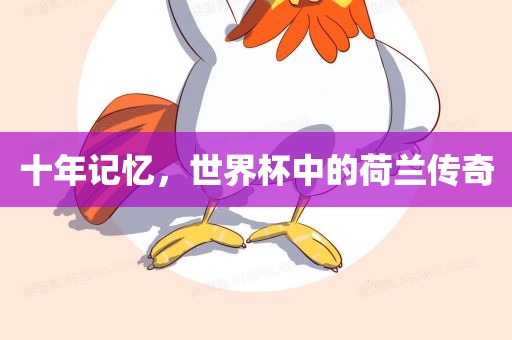 十年记忆，世界杯中的荷兰传奇洪湖市顺升工程机械租赁有限公司