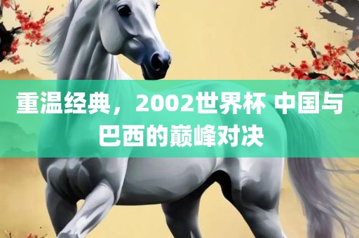 重温经典，2002世界杯 中国与巴西的巅峰对决