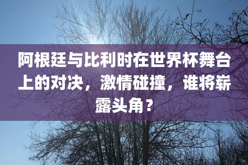 阿根廷与比利时在世界杯舞台上的对决，激情碰撞，谁将崭露头角？洪湖市顺升工程机械租赁有限公司