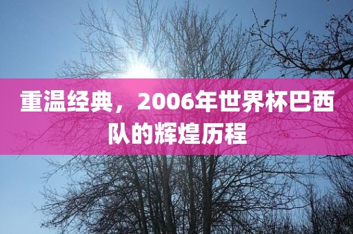 重温经典，2006年世界杯巴西队的辉煌历程