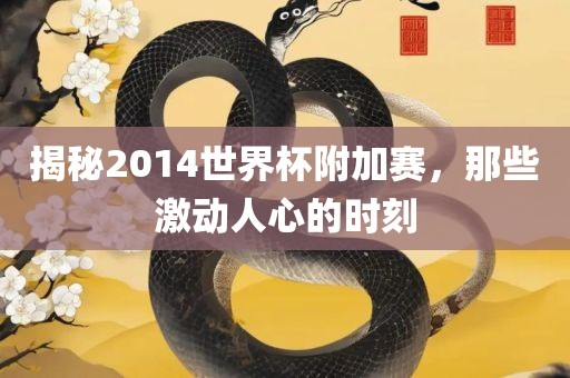 揭秘2014世界杯附加赛，那些激动人心的时刻