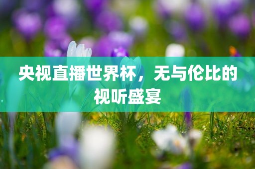 央视直播世界杯，无与伦比洪湖市顺升工程机械租赁有限公司的视听盛宴